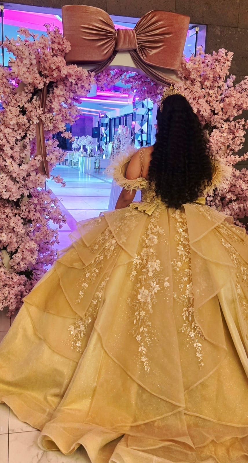 XV Años - Quinceañeras - Marbella Princess Parties Tijuana