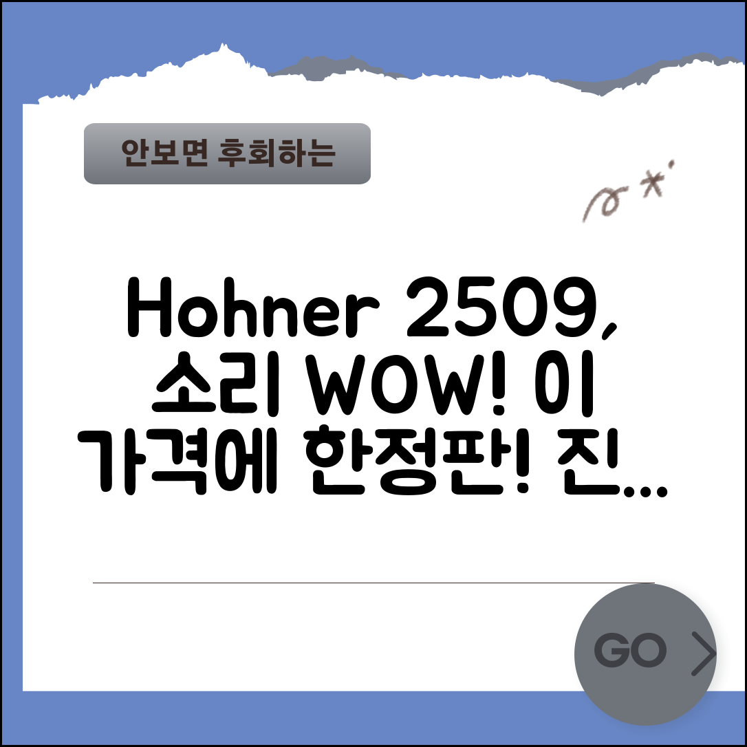 “호너egho하모니카2509, 이 가격에 이런 소리라니!”