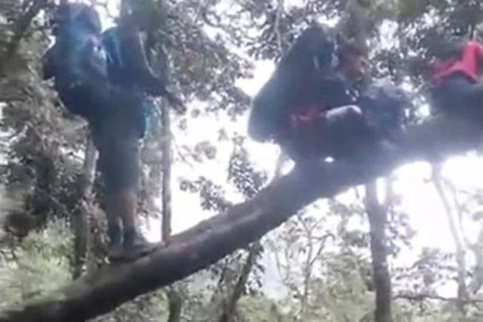 Lợn rừng bất ngờ lao tới truy đuổi, nhóm phượt thủ hoảng loạn trèo cây thoát thân - Tạp chí Doanh Nghiệp Việt Nam