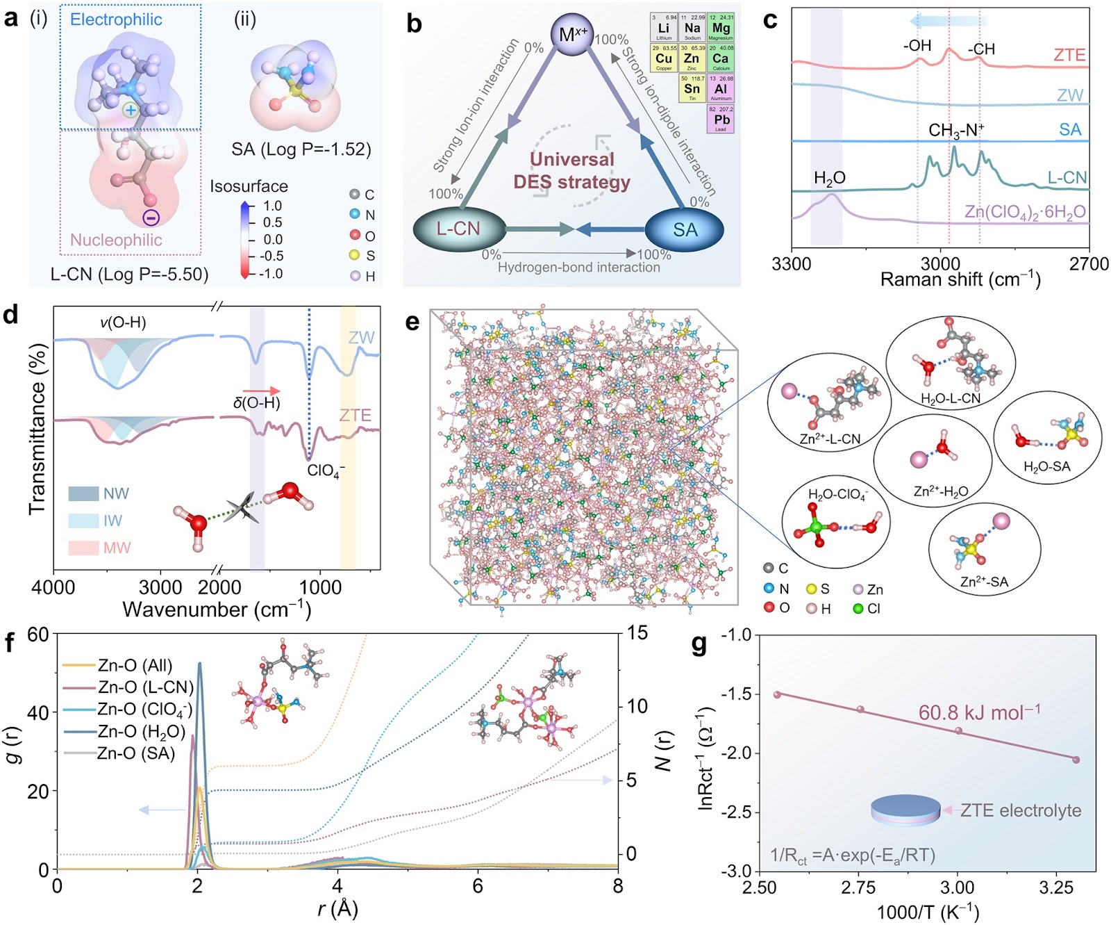 Integrating Electric Ambipolar Effect for High-Performance Zinc Bromide Batteries