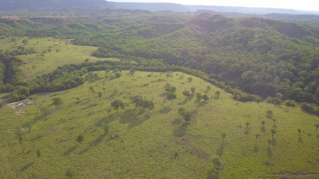 Fazenda em Caiapônia-GO 9