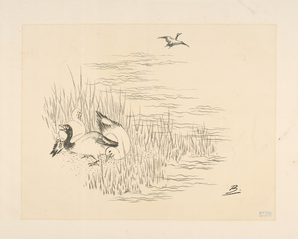 Trois canards et un quatrième qui vole 1866   1878