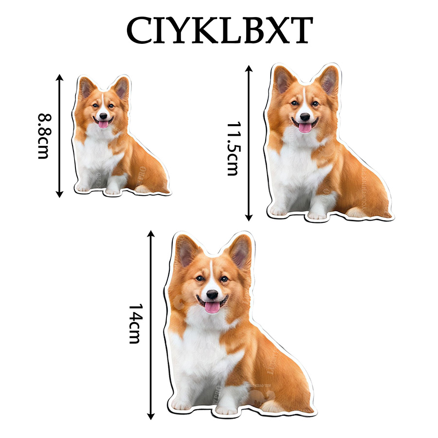 Acrylic Fridge Magnet