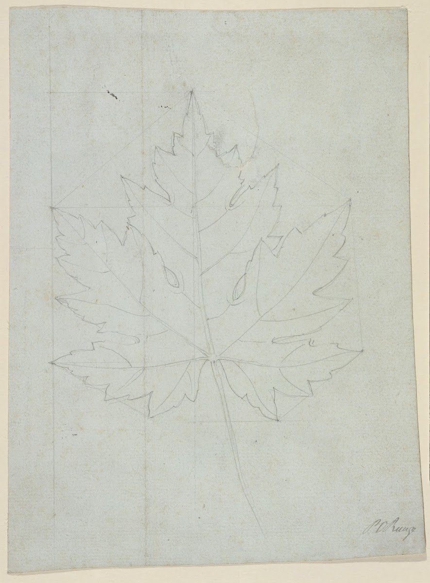 Maple leaf 1808