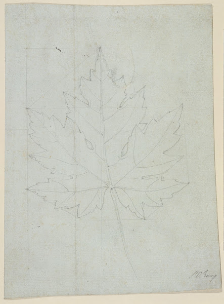 Maple leaf 1808