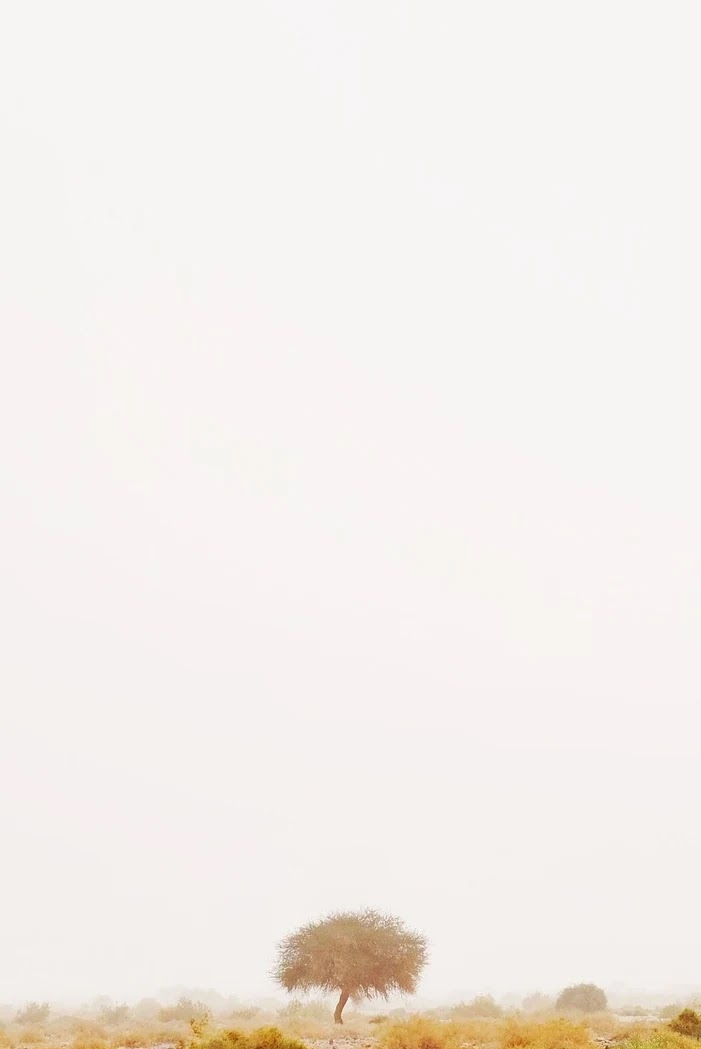 여름 선풍기 구매 전 네이버플러스멤버십과 신용카드 결합 할인법