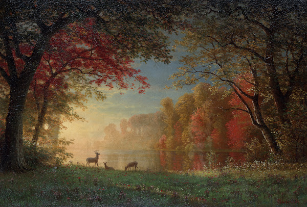 Indian Sunset Deer by aLake ca188090