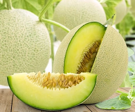 Dưa lưới Nhật