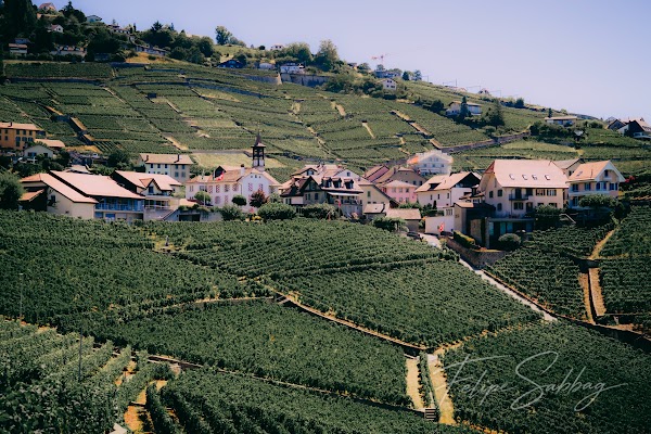 LAUSSANE