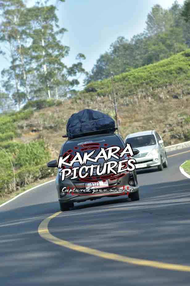 DSC_4703.JPG