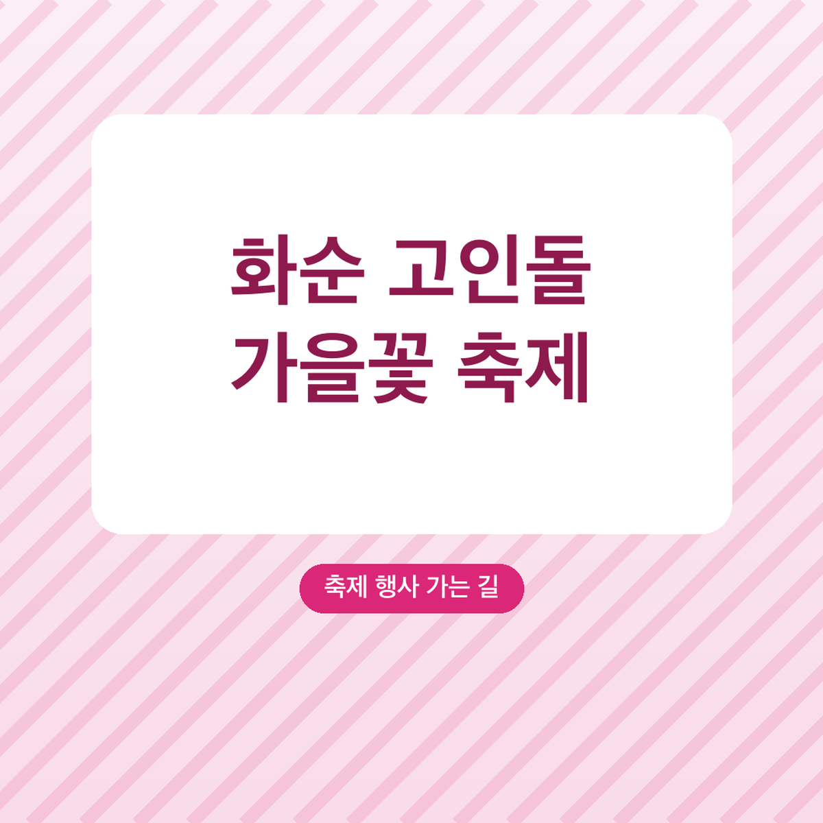 화순 고인돌 가을꽃 축제 입장료 5천원·무료 대상