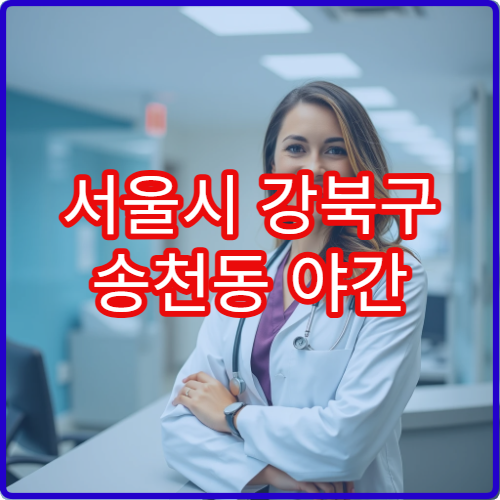 서울시 강북구 송천동 야간 소아과 감기·비염 소아 진료 병원