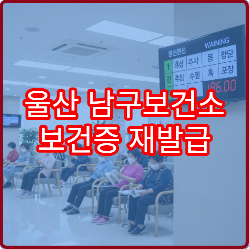 울산 남구보건소 보건증 재발급 방법 | 분실했을 때 대처법