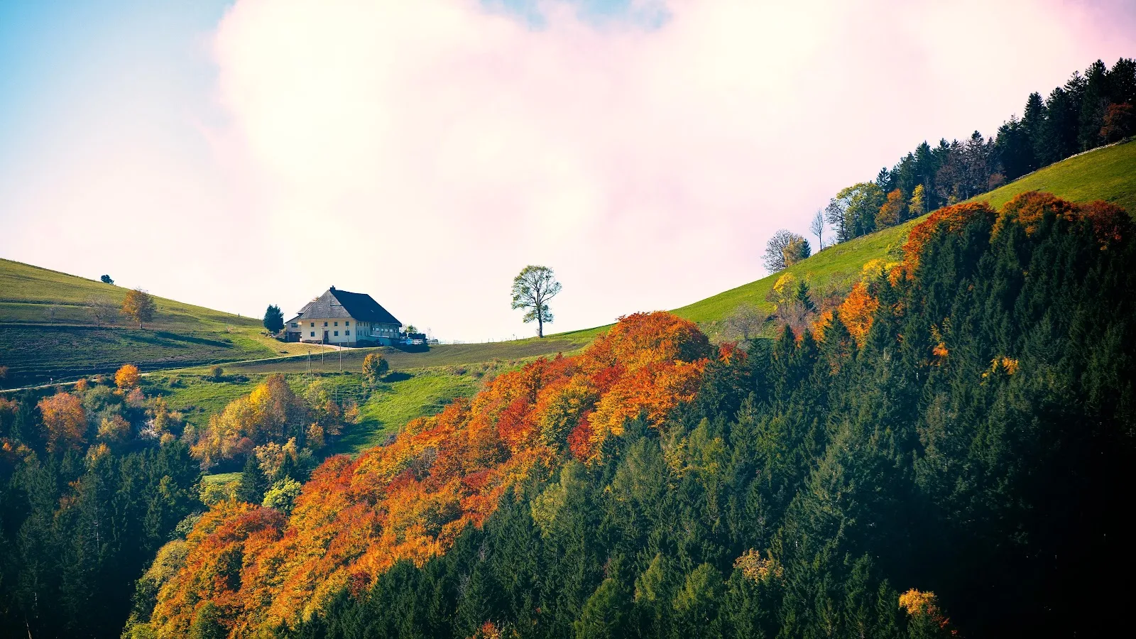 Lonely House On Autumn Hillside - Landscape Photography 5K Wallpaper (5120x2880)