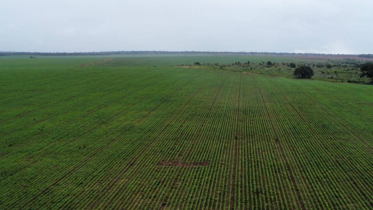 Fazenda no Município de Darcinópolis - TO 9
