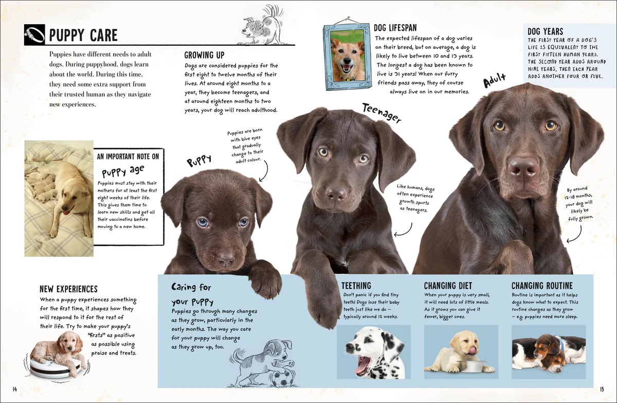 My Dog — gambar 4