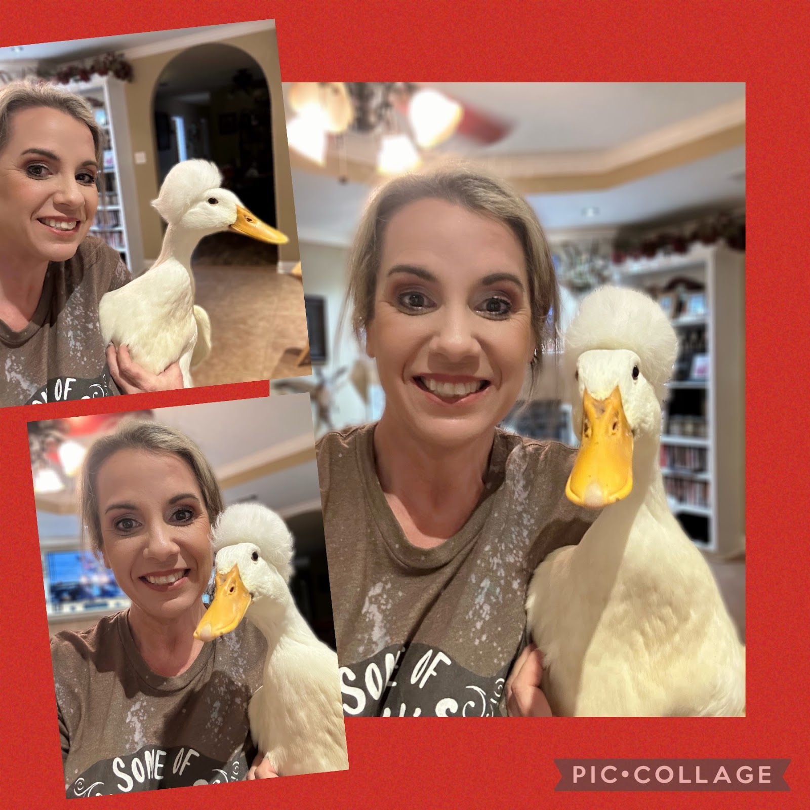 White Crested Duckling