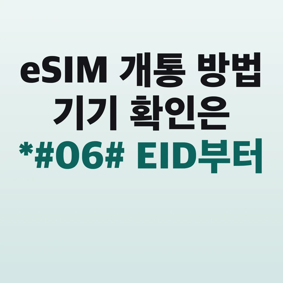 eSIM 개통 방법 기기 확인은 *#06# EID부터