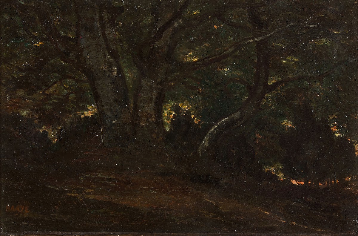 Intérieur de la forêt de Fontainebleau