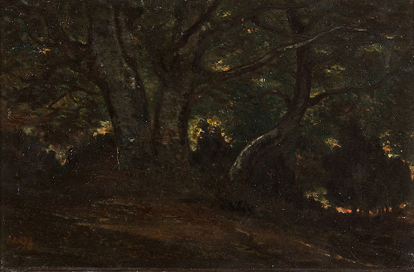 Intérieur de la forêt de Fontainebleau