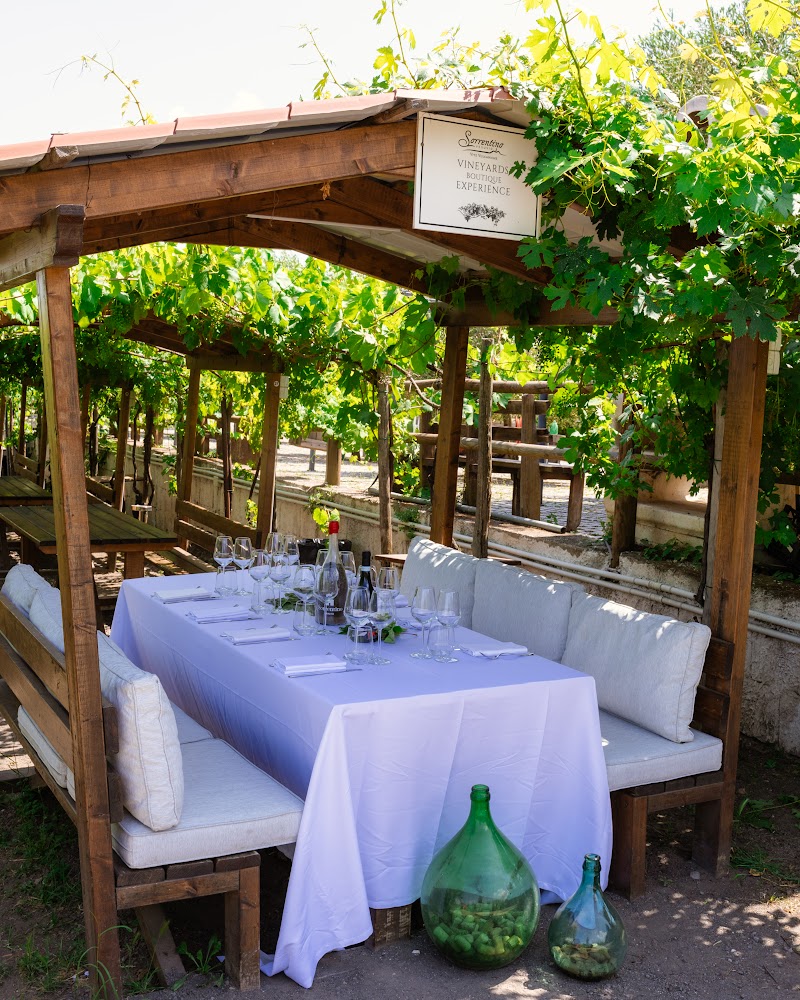 VINEYARD BOUTIQUE.jpg