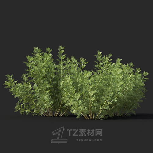 Maxtree - Plant Models Vol.60