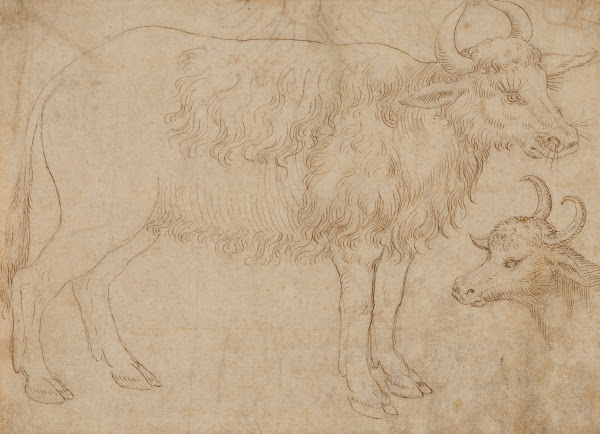 Study of Two Bovine Animals mid 15th century