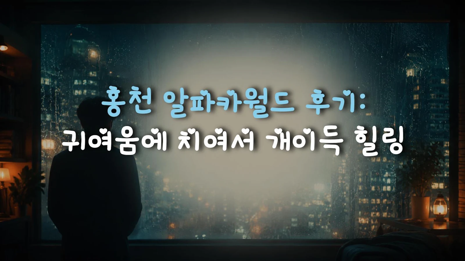 홍천 알파카월드 후기: 귀여움에 치여서 개이득 힐링