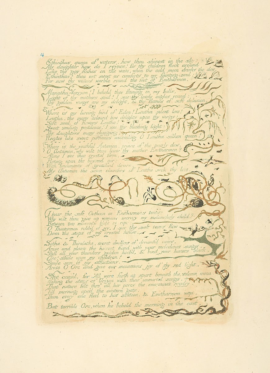Ethinthus queen of waters 1794
