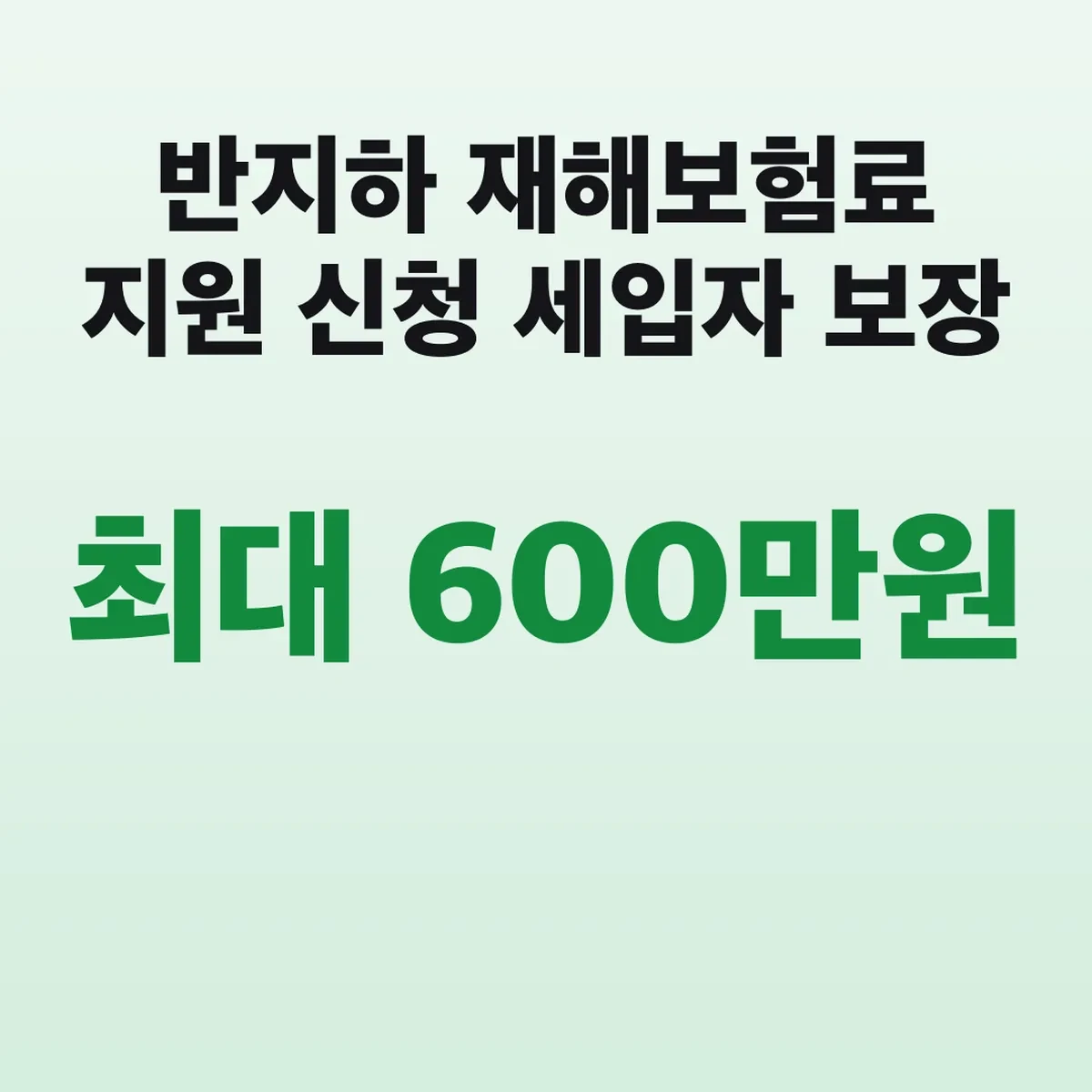 반지하 재해보험료 지원 신청 세입자 최대 600만원 보장
