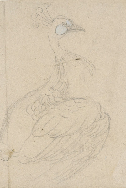 Pauw 1873   1917