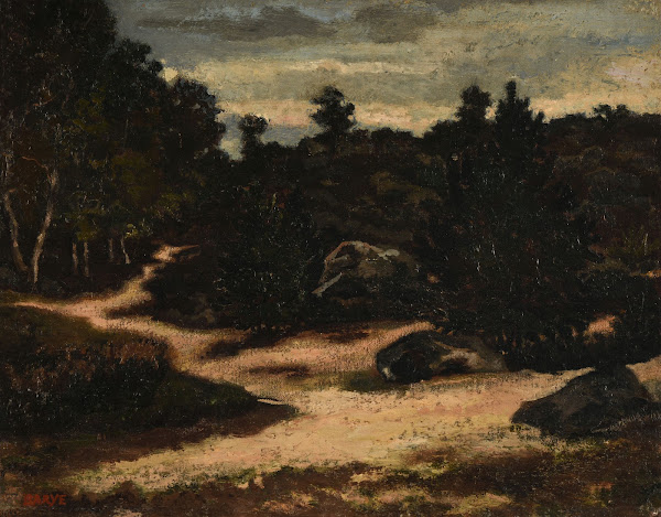 Chemin Sableux En ForêT De Fontainebleau
