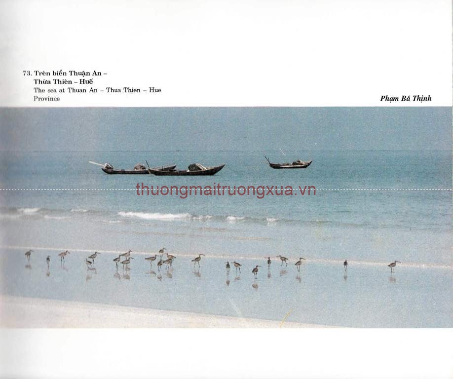 Tập san : Mực tím (số 65 - 1992) - Trang 81