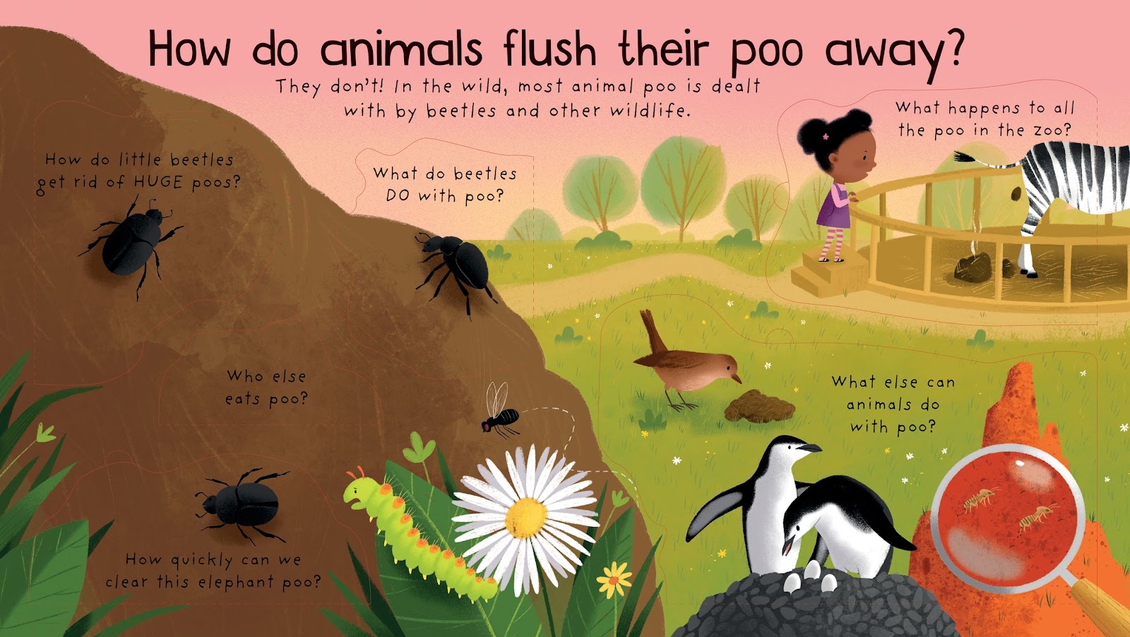 LTF FQ&A Where Does Poo Go - thumbnail 2