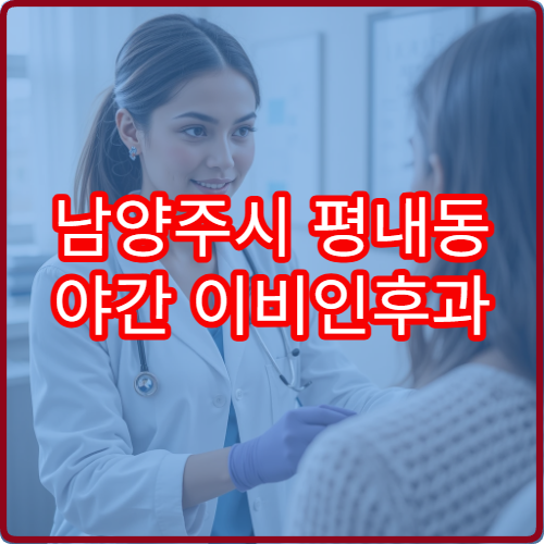 남양주시 평내동 야간 이비인후과 감기 몸살 진료 병원 안내