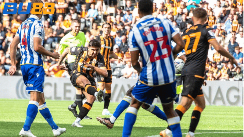  Phong độ gần đây của Sheffield Wed- Hull