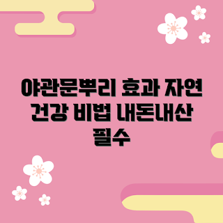 야관문뿌리 내돈내산, 건강 효과, 건강 보조식품, 자연 치료, 장기적 건강