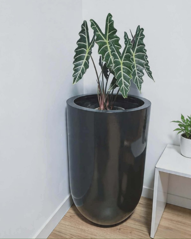 WMS concrete pot design 11