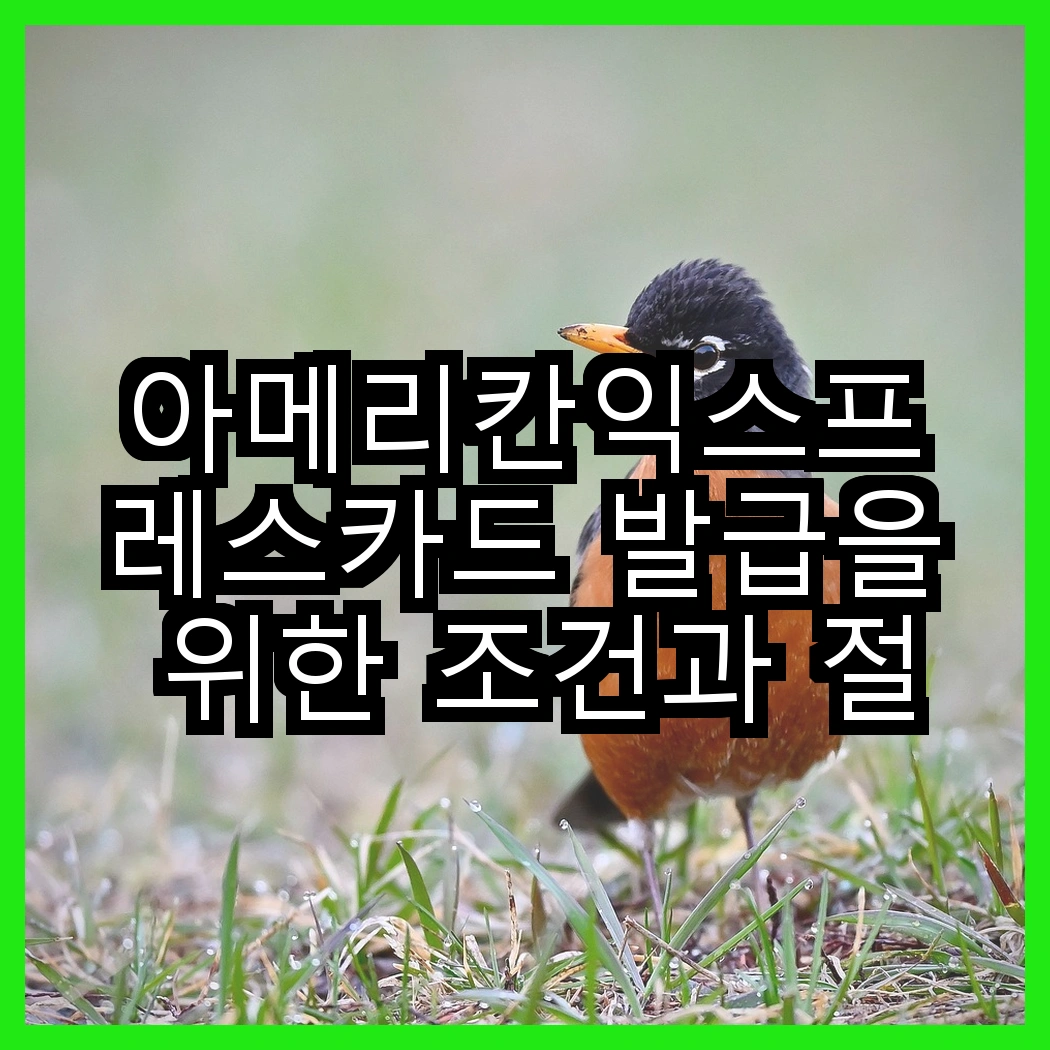 아메리칸익스프레스카드 발급을 위한 조건과 절차 썸네일