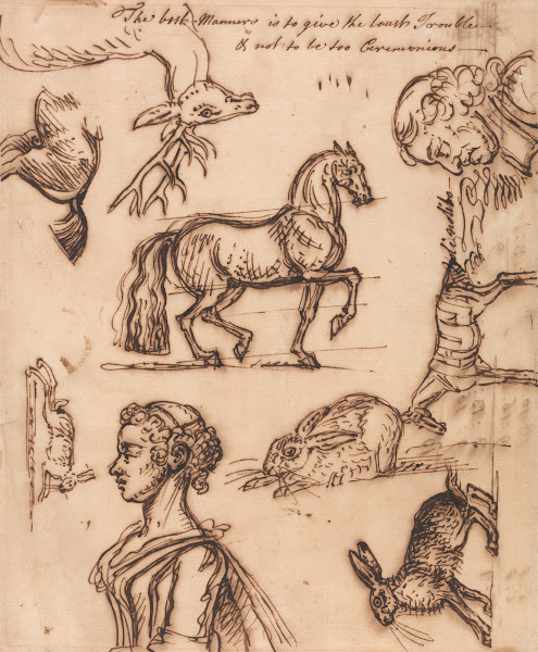 Sketches of a Hare Horse Stag Man and Woman