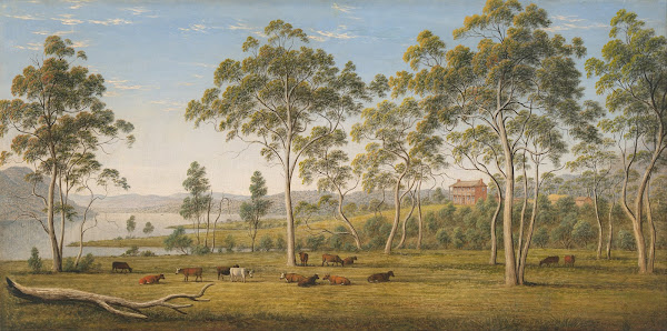 Mr Robinsons house on the Derwent Van Diemens Land