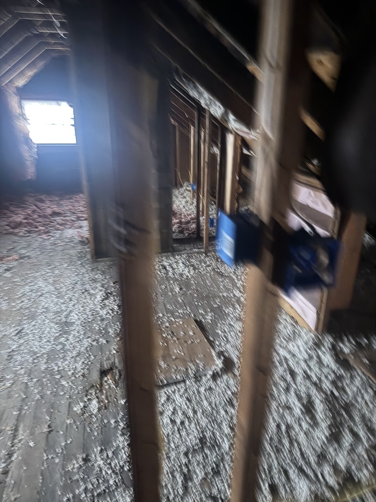 Copy of IMG_1874.HEIC