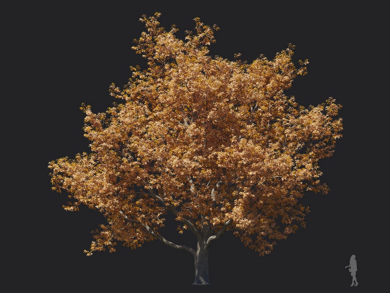 Maxtree - Plant Models Vol.116