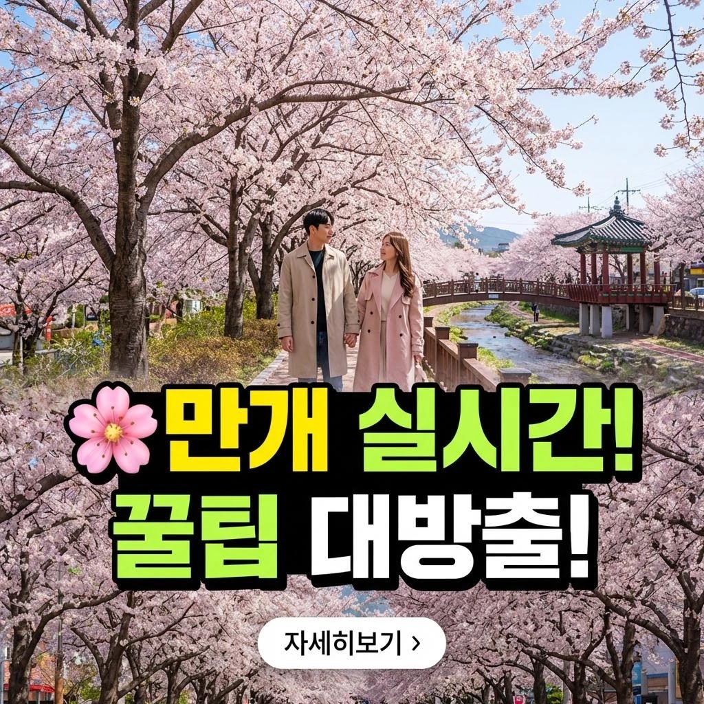 2026 진해군항제: 럭셔리 벚꽃여행 완벽 가이드