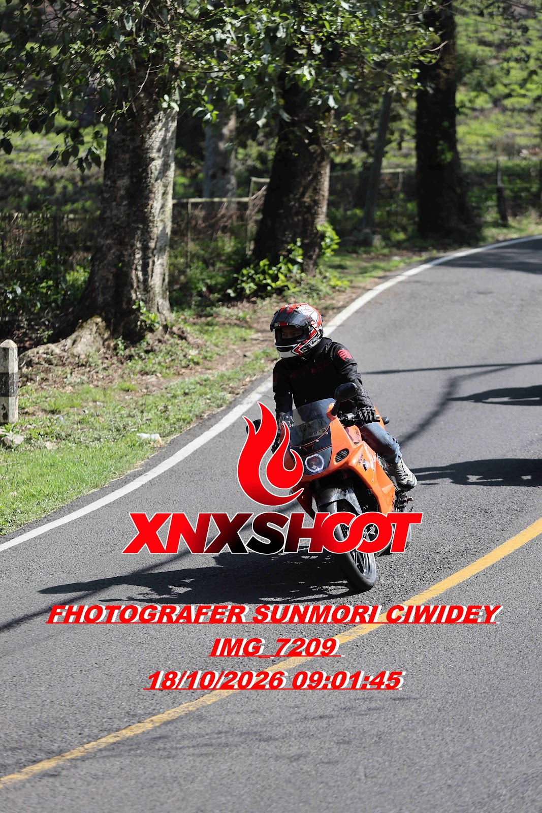 IMG_7209_result.jpg