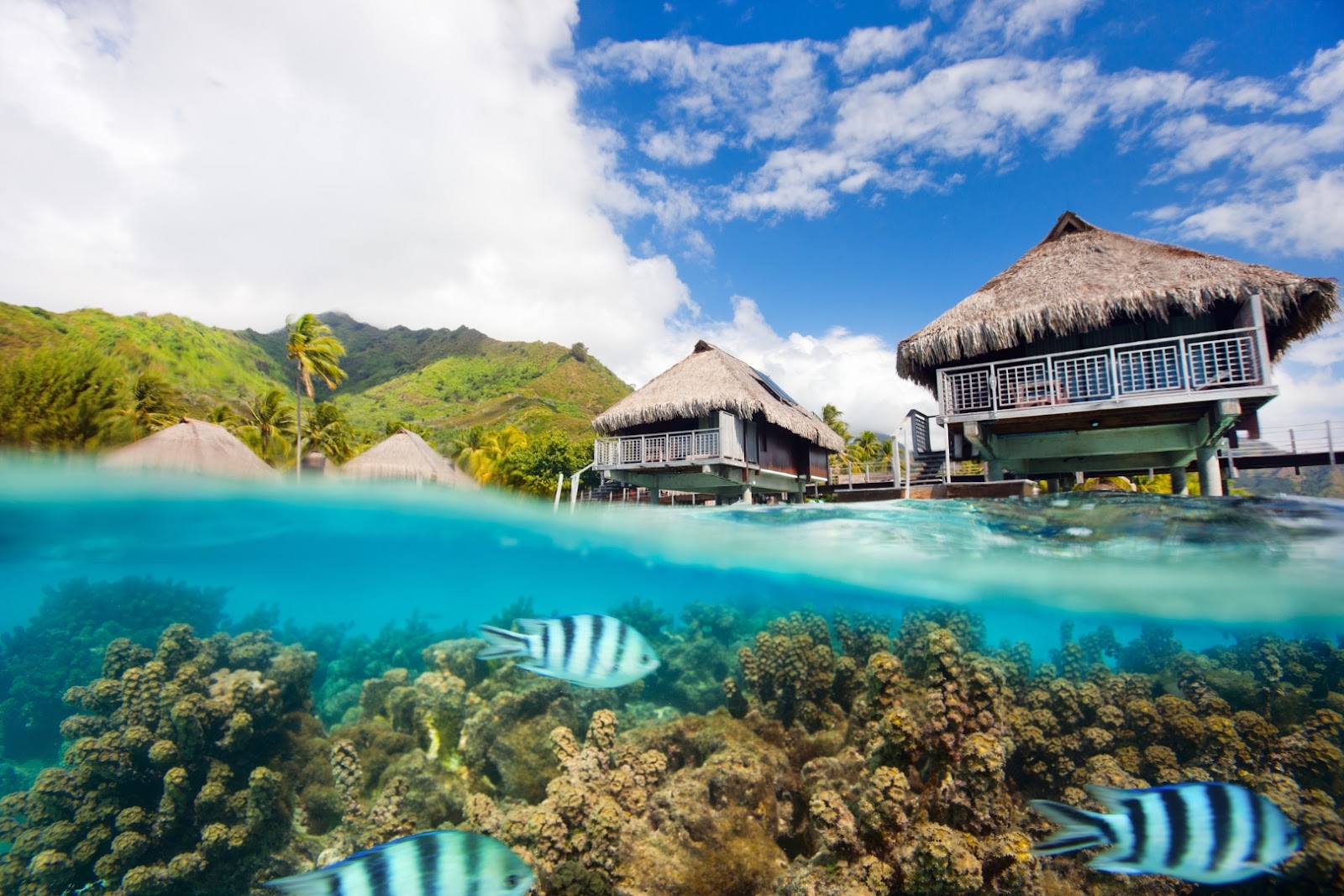 Overwater bungalows extending across a turquoise lagoon in Moorea, French Polynesia, with lush volcanic mountains in the background.