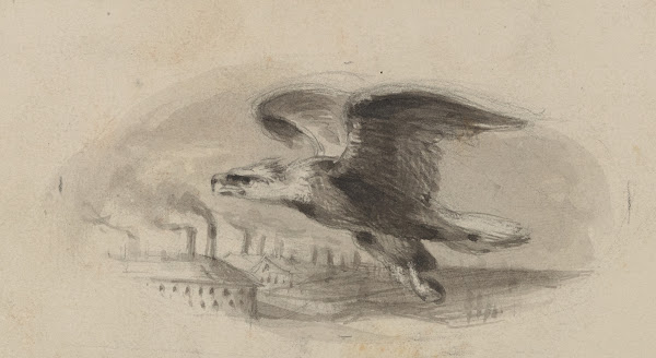 Eagle flying over industrial scene