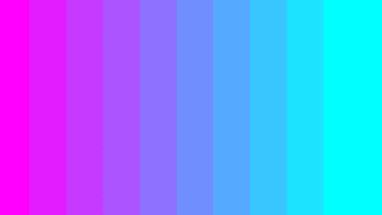 Color Palette Wallpaper