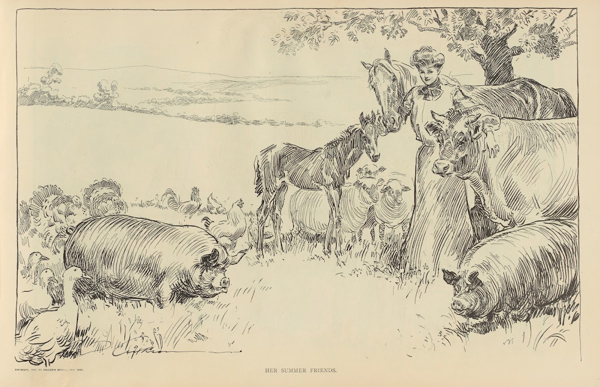 Her summer friends 1900 1905