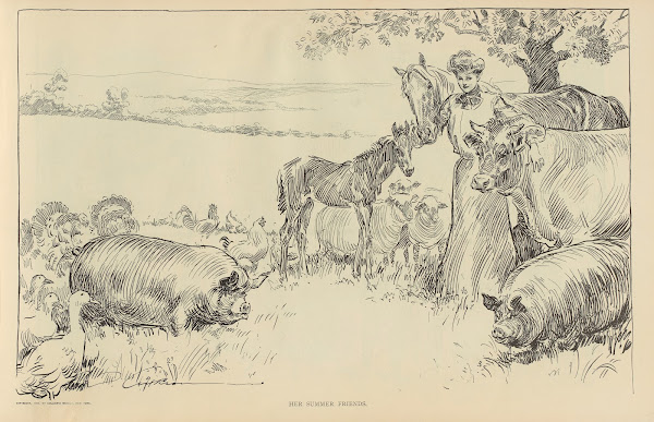 Her summer friends 1900 1905